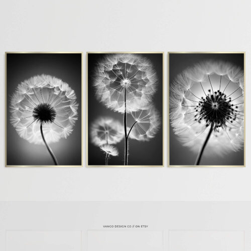 Black & White Dandelion Art – Set of 3